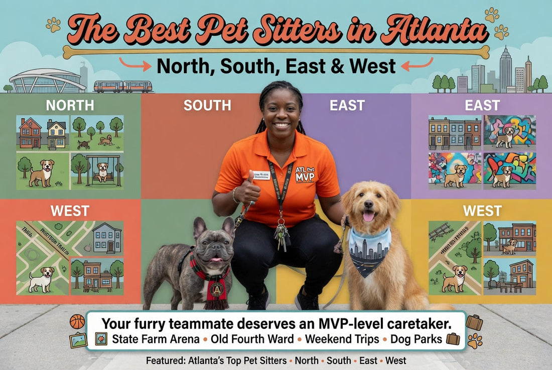 The Best Pet Sitters in Atlanta: North, South, East &amp; West