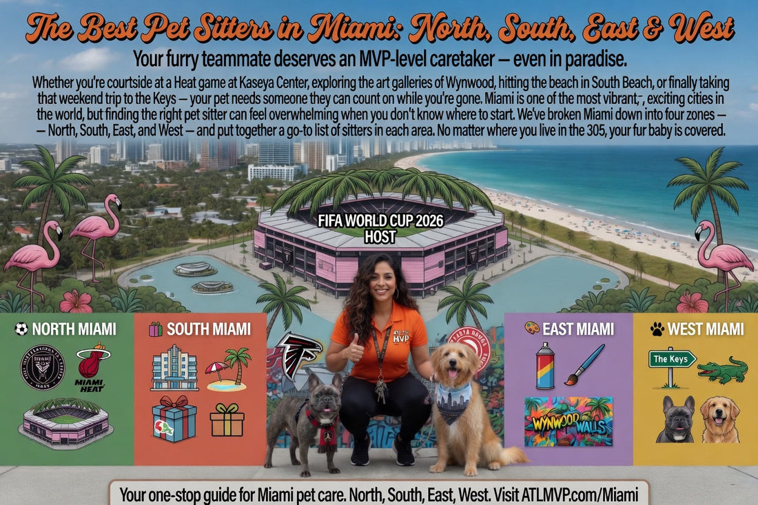 The Best Pet Sitters in Miami: North, South, East &amp; West